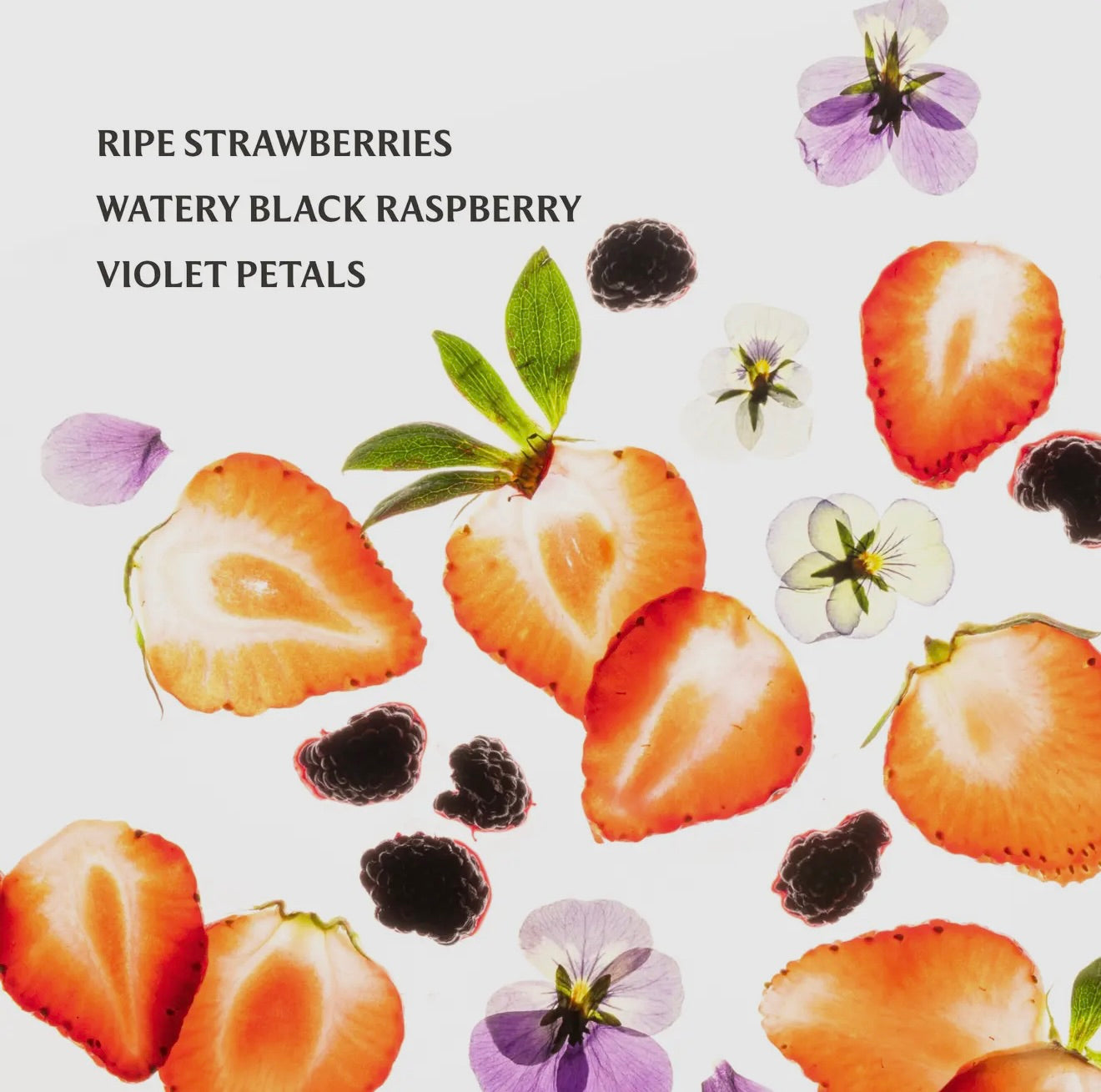 Berry Bliss Touchland Hand Santizer