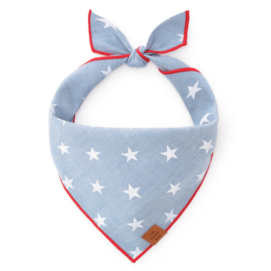 Liberty Dog Bandana: Large
