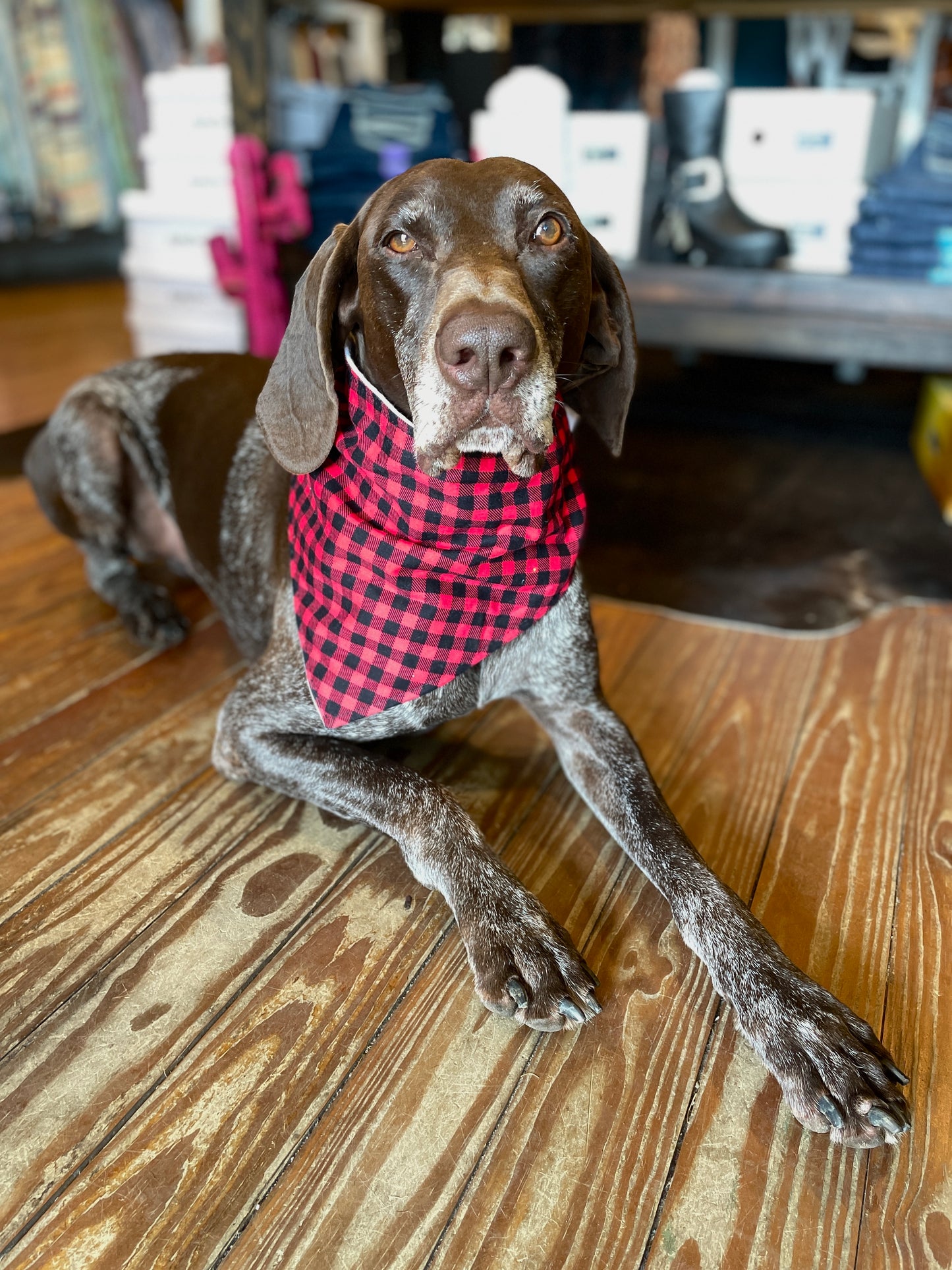 Bandana de cuadros de búfalo roja y negra