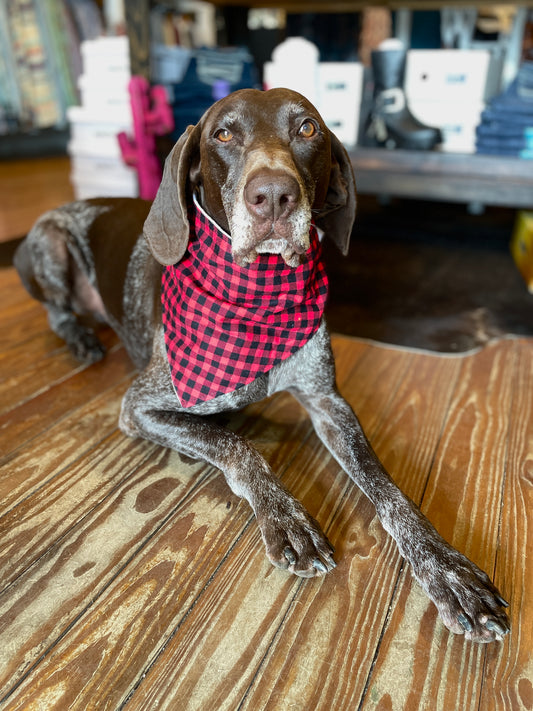 Red & Black Buffalo Plaid Bandana