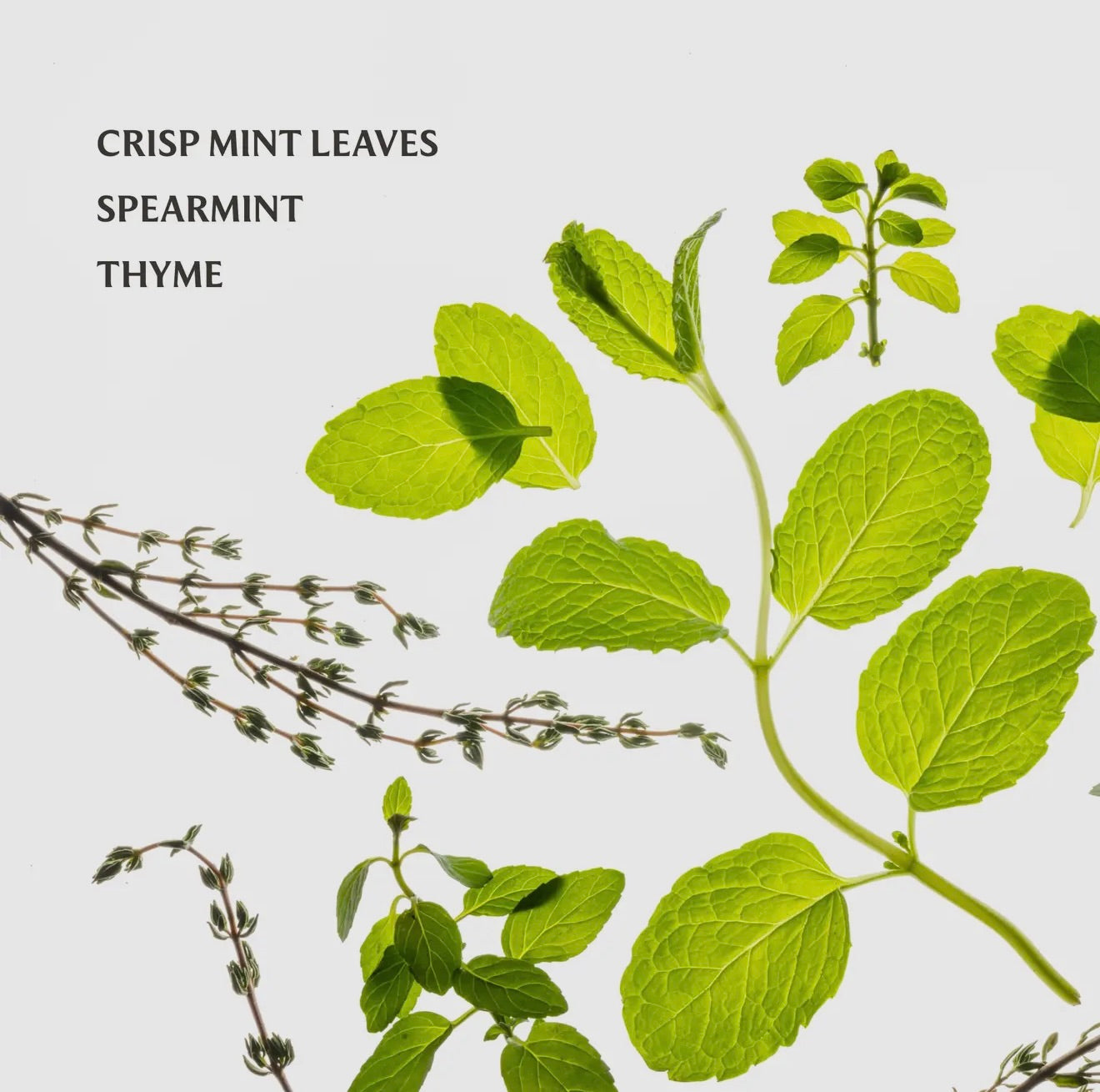 Frosted Mint Touchland Hand Sanitizer