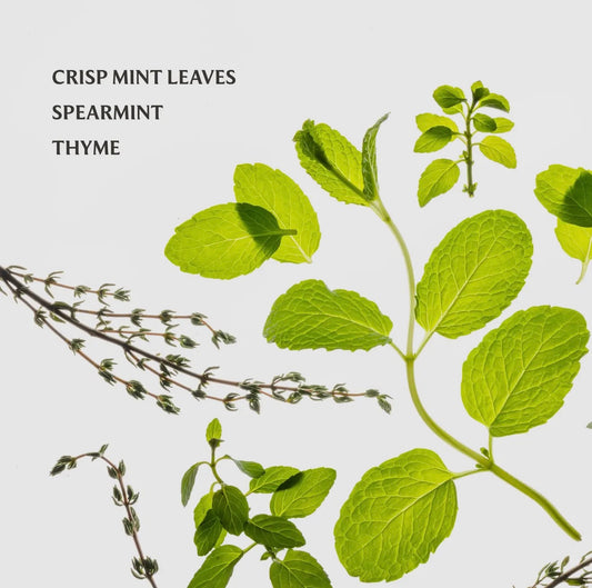 Frosted Mint Touchland Hand Sanitizer