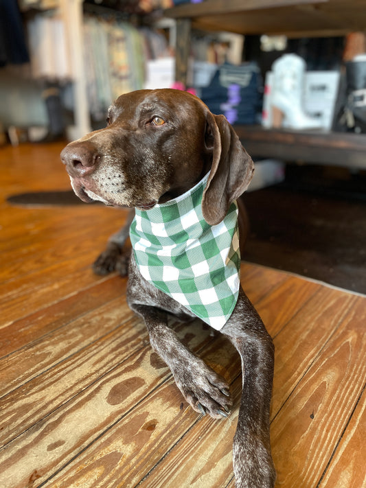 Green Buffalo Checkered Bandana