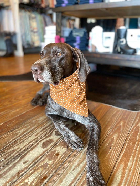 Cinnamon Dot Bandana