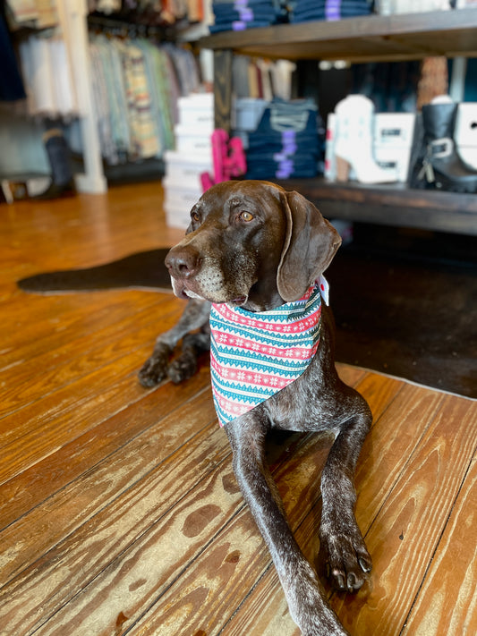 Christmas Sweater Bandana