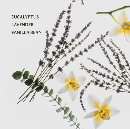 Pure Lavender Touchland Hand Sanitizer